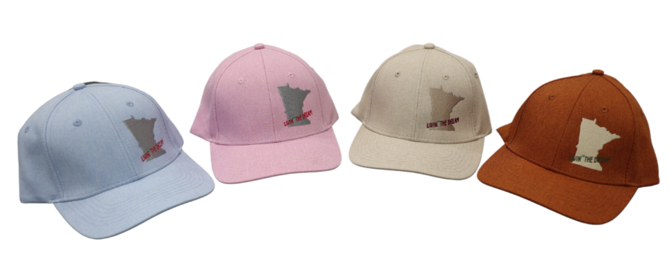 Livin' The Dream MN Baseball Hat - Pink