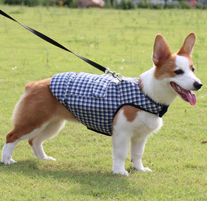 Snappy Blue Vest